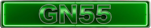 Gn555.com.pk